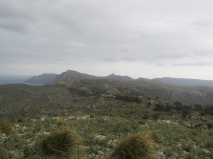 IMG_4776 (Medium)